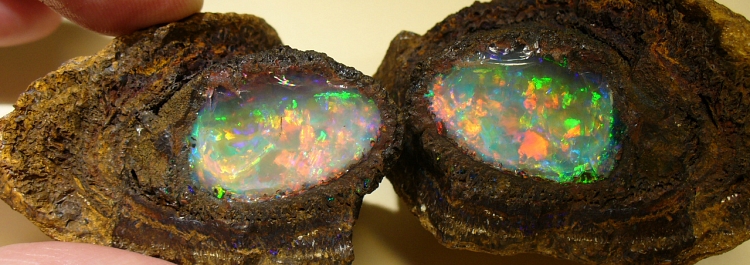 Boulder Opal: Yowak Nut